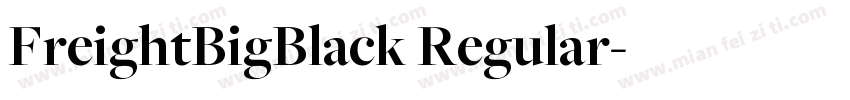 FreightBigBlack Regular字体转换